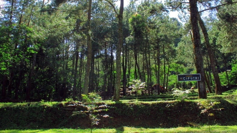 Pemandangan Zona Ciputri Highland Camp