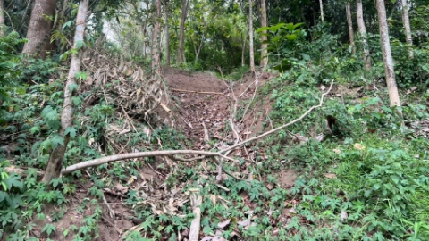 Setapak Terjal Menuju Makam Ndoro Tedjo